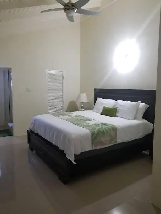 Villa Verde Jamaica - Oceanview Getaway, Gated & Secured Falmouth